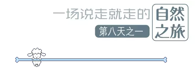 國(guó)際搬家