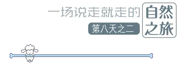 國(guó)際搬家