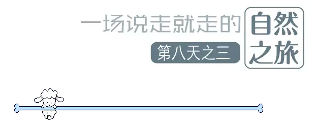 國(guó)際搬家