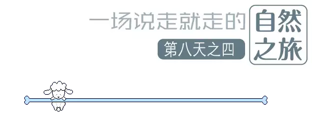 國(guó)際搬家