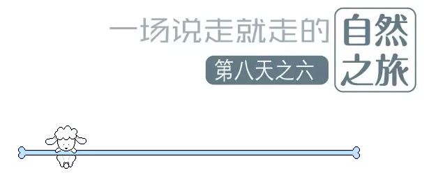 國(guó)際搬家