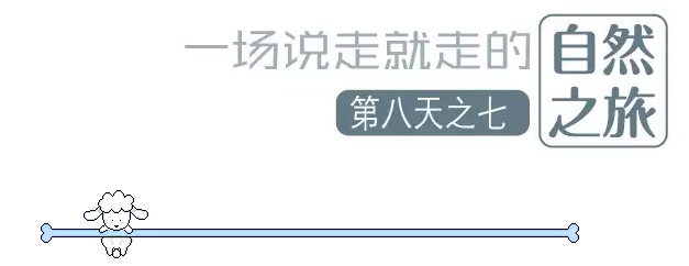 國(guó)際搬家
